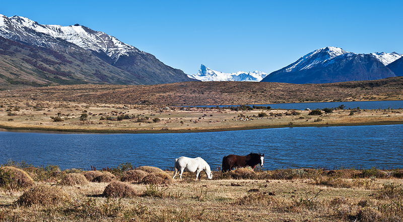 El Calafate