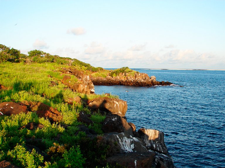 A Ilha Floreana é uma das maiores do arquipélago, vista como um pequeno paraíso em Galápagos encantando todos que a visitam.
