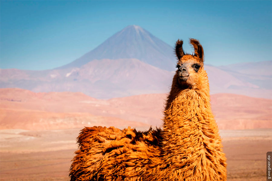 Passe seu Réveillon no Deserto do Atacama.