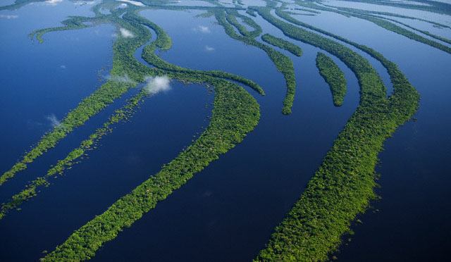 Viagem para a Amazônia: dicas e cuidados
