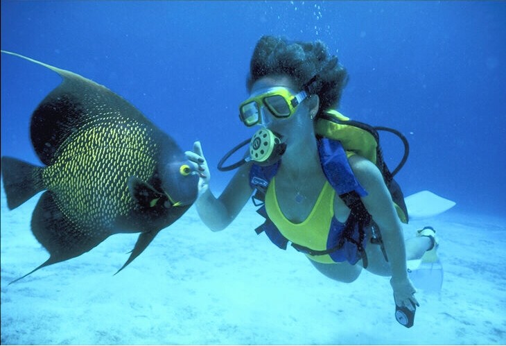 O mergulho autônomo é internacionalmente conhecido como “Scuba Diving”,Mergulho em Abrolhos