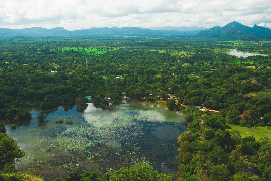 Vista de floresta em Sri Lanka.
