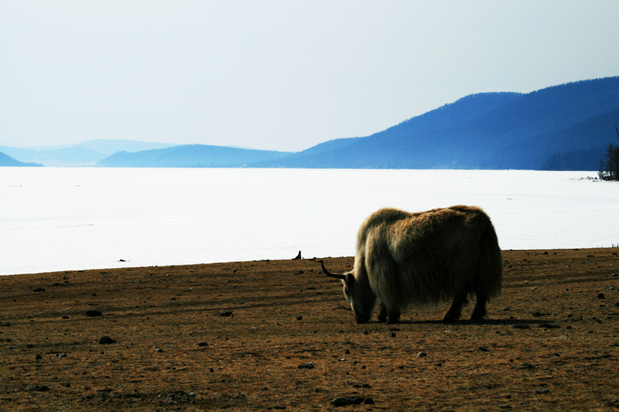 Lago Khovsgol