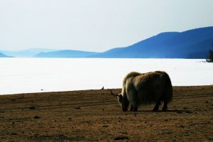 Lago de Khovsgol na Mongólia