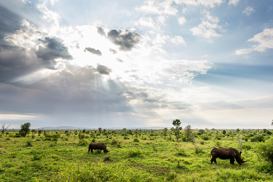 Parque Nacional Kruger