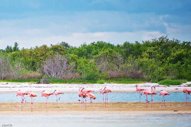 Praias em Cancun, no famoso Caribe Mexicano