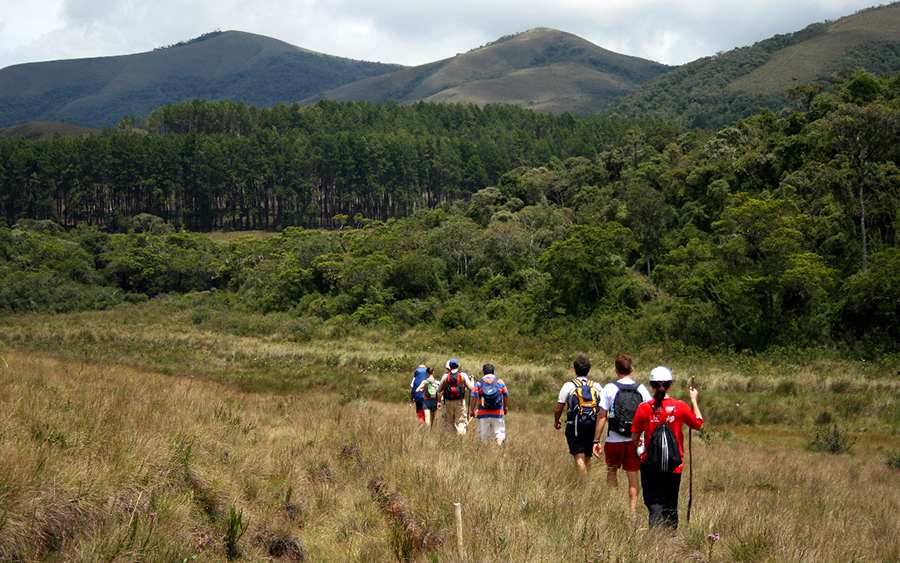 grupo de trekking