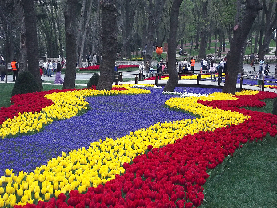 Tulipas no Parque Emirgan, Istambul