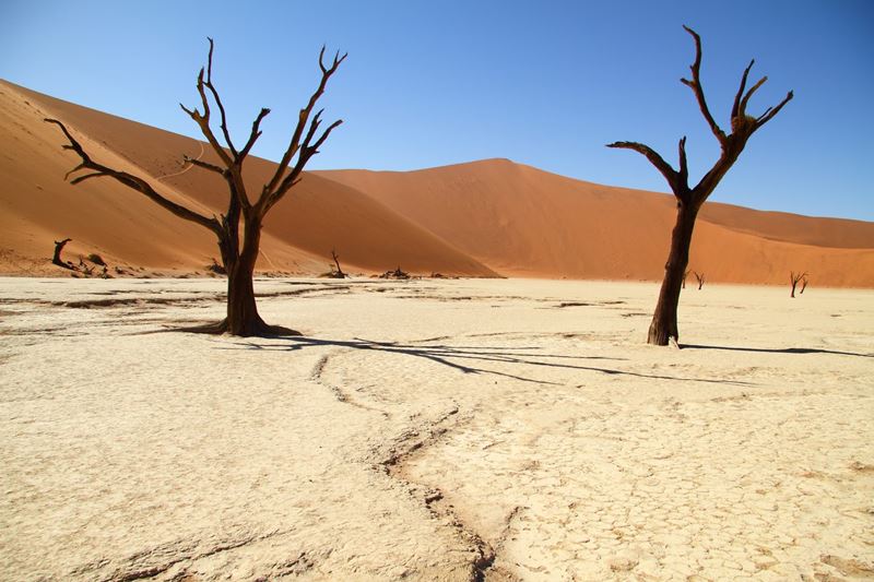 Deserto da Namíbia, um lugar encantador e surpreendente