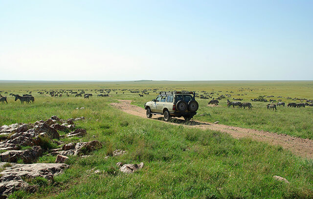 carro em safari masai mara