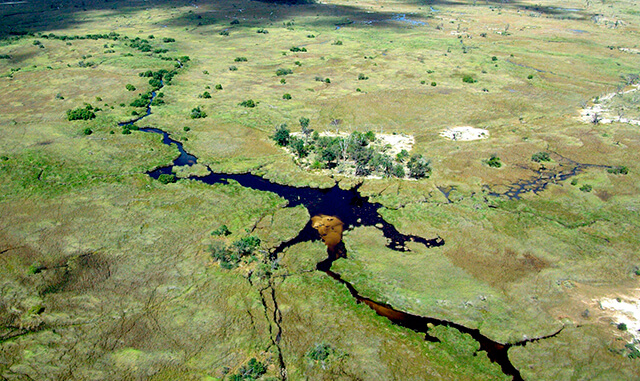 Delta do Okavango, Botswana