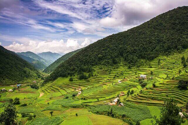 cenário de campo do nepal