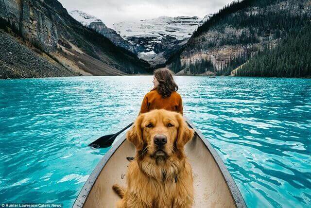 Cachorro viajante faz sucesso no Instagram com fotos em lindas paisagens