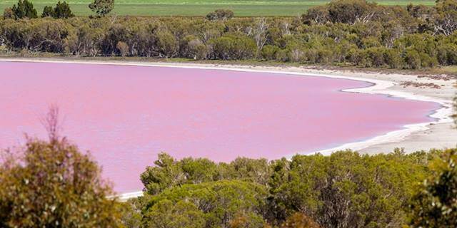 lago de cor rosa