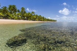 Curta o Taipu de Fora, durante seu Réveillon na Pousada Lagoa do Cassange