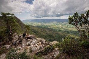 Paisagem vista de cima da montanha no Parque Nacional da Serra da Canastra