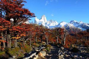 Faça Trekking Los Glaciares com guia brasileiro