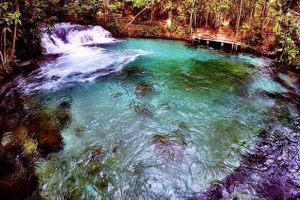 cachoeira de águas claras