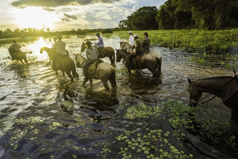 Cavalgada no Pantanal