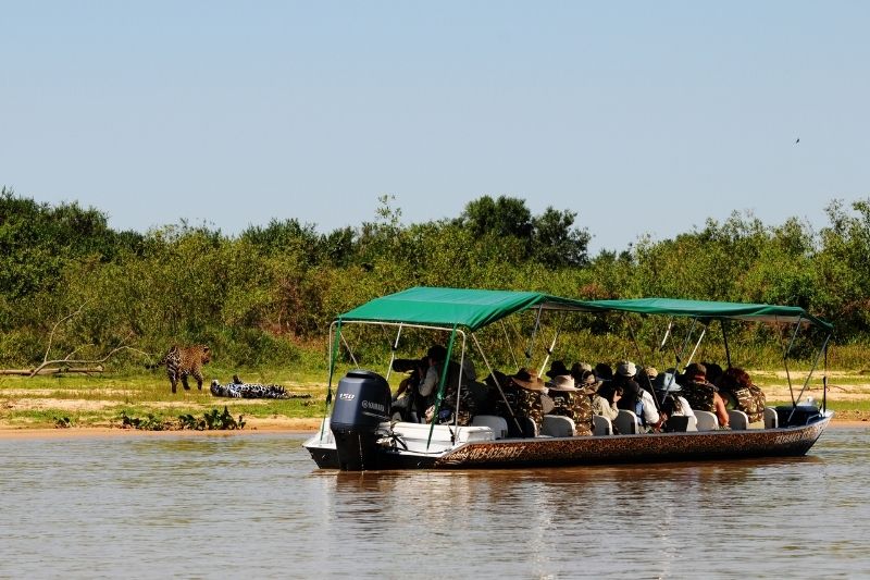 Safari Fotográfico Pantanal