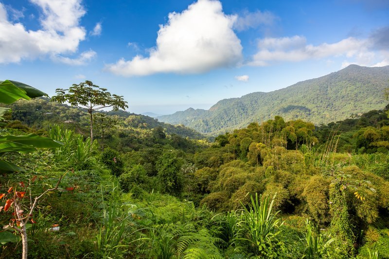 Sierra Nevada de Santa Marta, na Colômbia