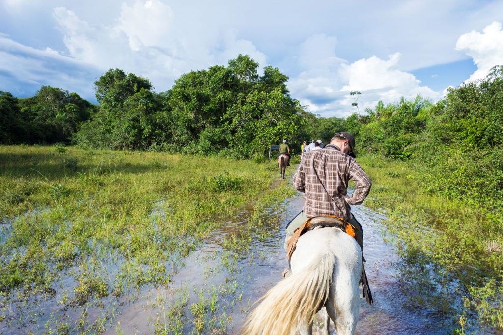 Cavalgada Pantanal