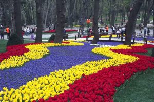 Tulipas em Istambul, Turquia