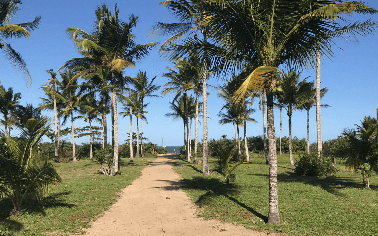 Lavando a Alma na Bahia