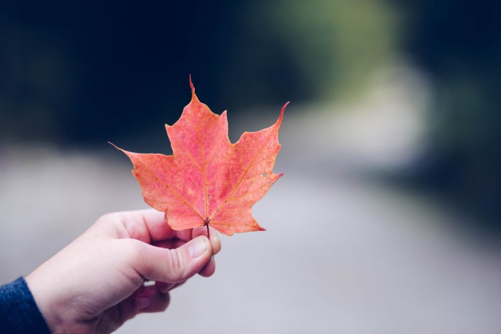 á Conhece os Encantos da Costa Oeste do Canadá?