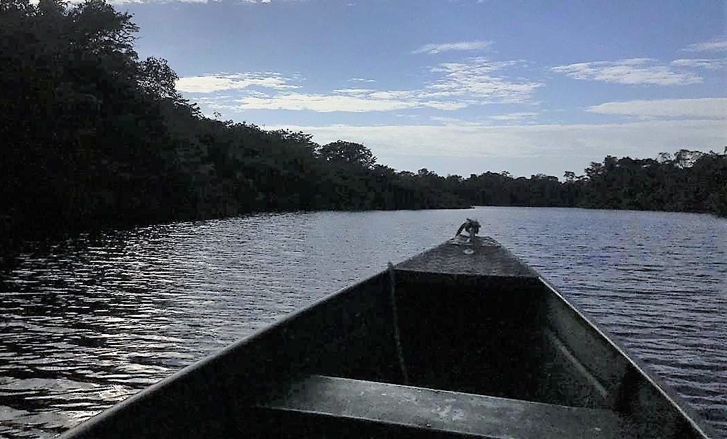 Amazônia…