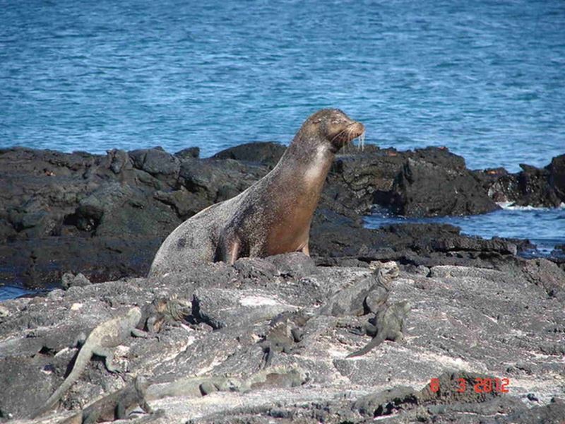 A enorme biodiversidade de Galápagos