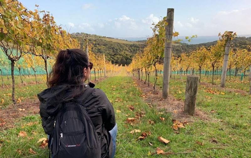 Nova Zelândia, as experiências por Amanda Gallo