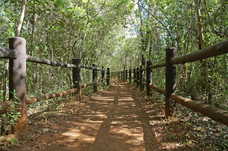 Parque Nacional de Brasília, um dos Parques Nacionais mais visitados do Brasil