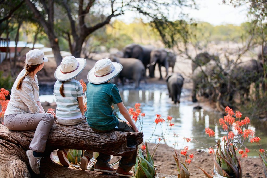 safari com criança