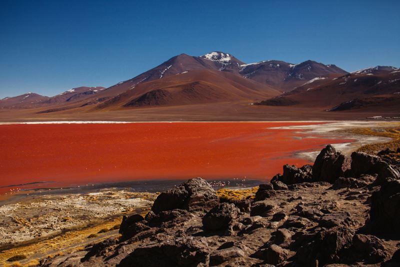 Laguna Colorada, Salar de Uyuni: o que você não pode perder