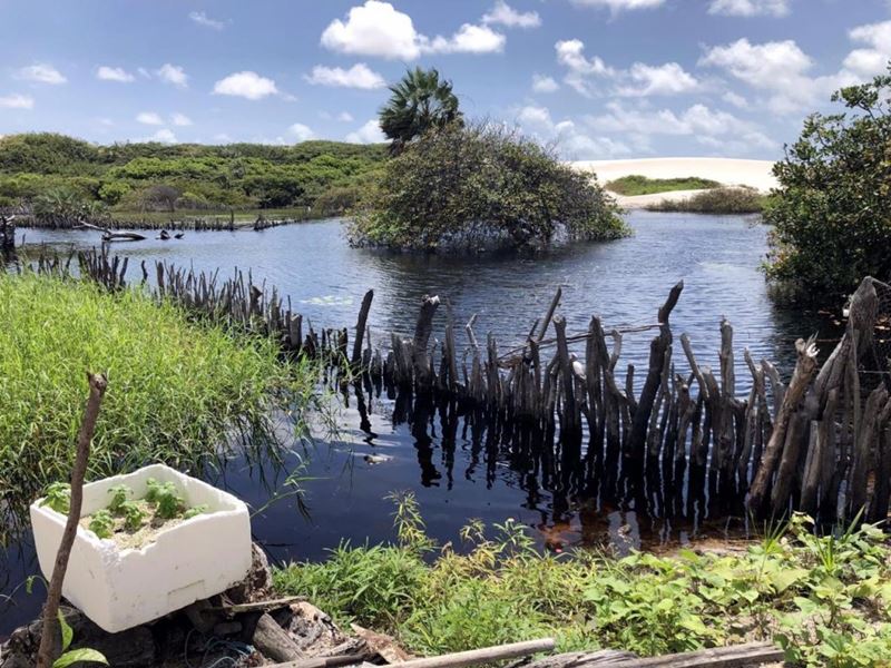 Parque Nacional dos Lençóis Maranhenses, a experiência mais espetacular do “deserto brasileiro”