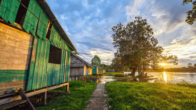 Curiosidades sobre a Amazônia 