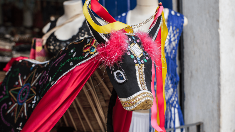 Dia Nacional do Bumba meu Boi, Amazônia 