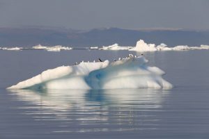 Aero-cruzeiro Antática, um dos roteiros com o Elemento da Natureza, Água