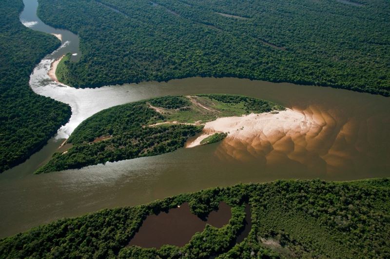 Fauna e flora do Cantão, o paraíso escondido