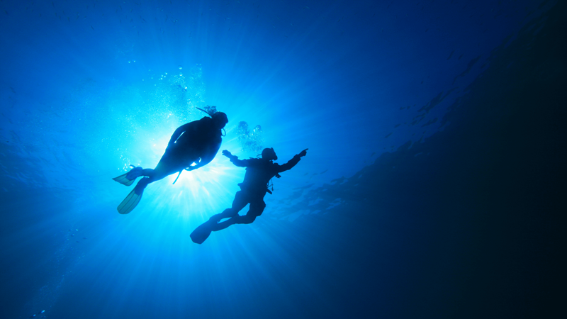 Ilha Grande, mergulho pelo fundo do mar