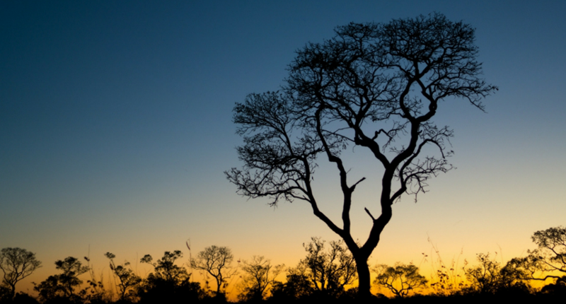 Fortim, um lugar lindo para ver o pôr do sol no Brasil