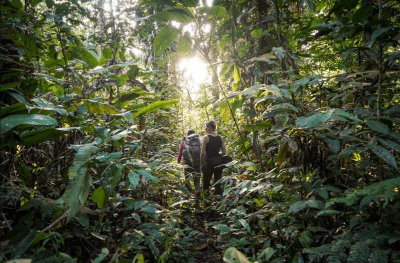 Turismo regenerativo: conheça essa tendência