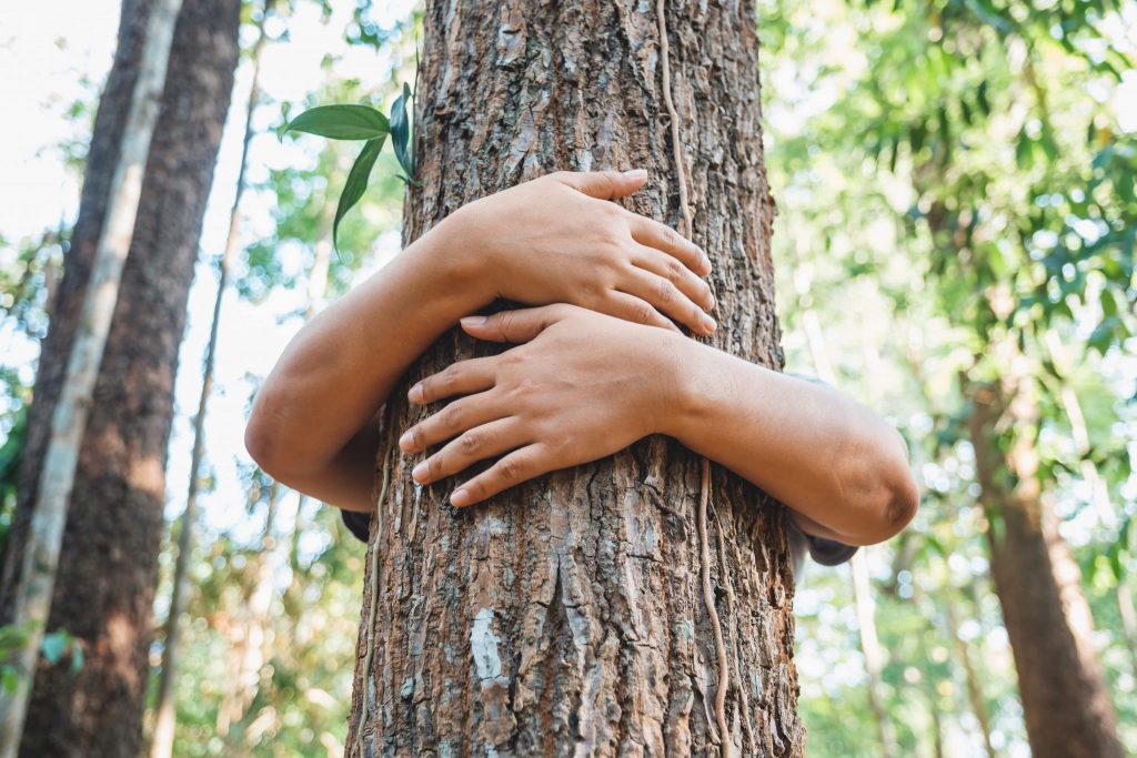 Dicas para praticar o turismo sustentável no Brasil