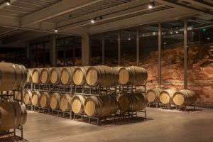 Vinicola-UVVA-Chapada-Diamantina-2-galeria80