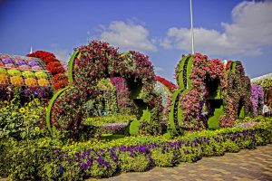 O maior jardim de flores do mundo