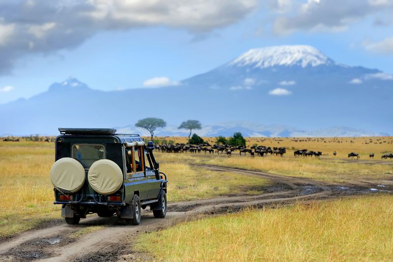 Quênia e Tanzânia, um dos lugares mais visitados de 2021