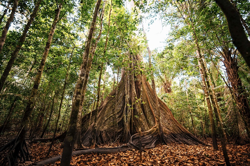 Feriado na Amazônia - Estação Seca