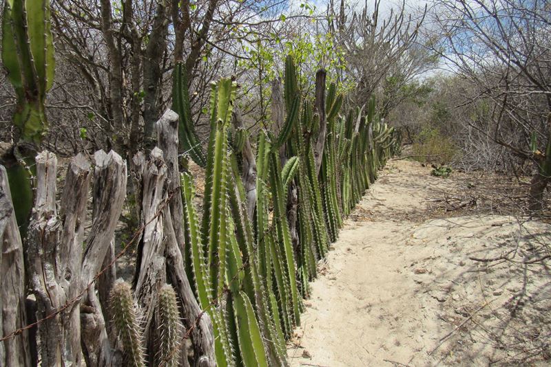 Geoparque Seridó: Sertão do Rio Grande do Norte - Turismo de Base Comunitária