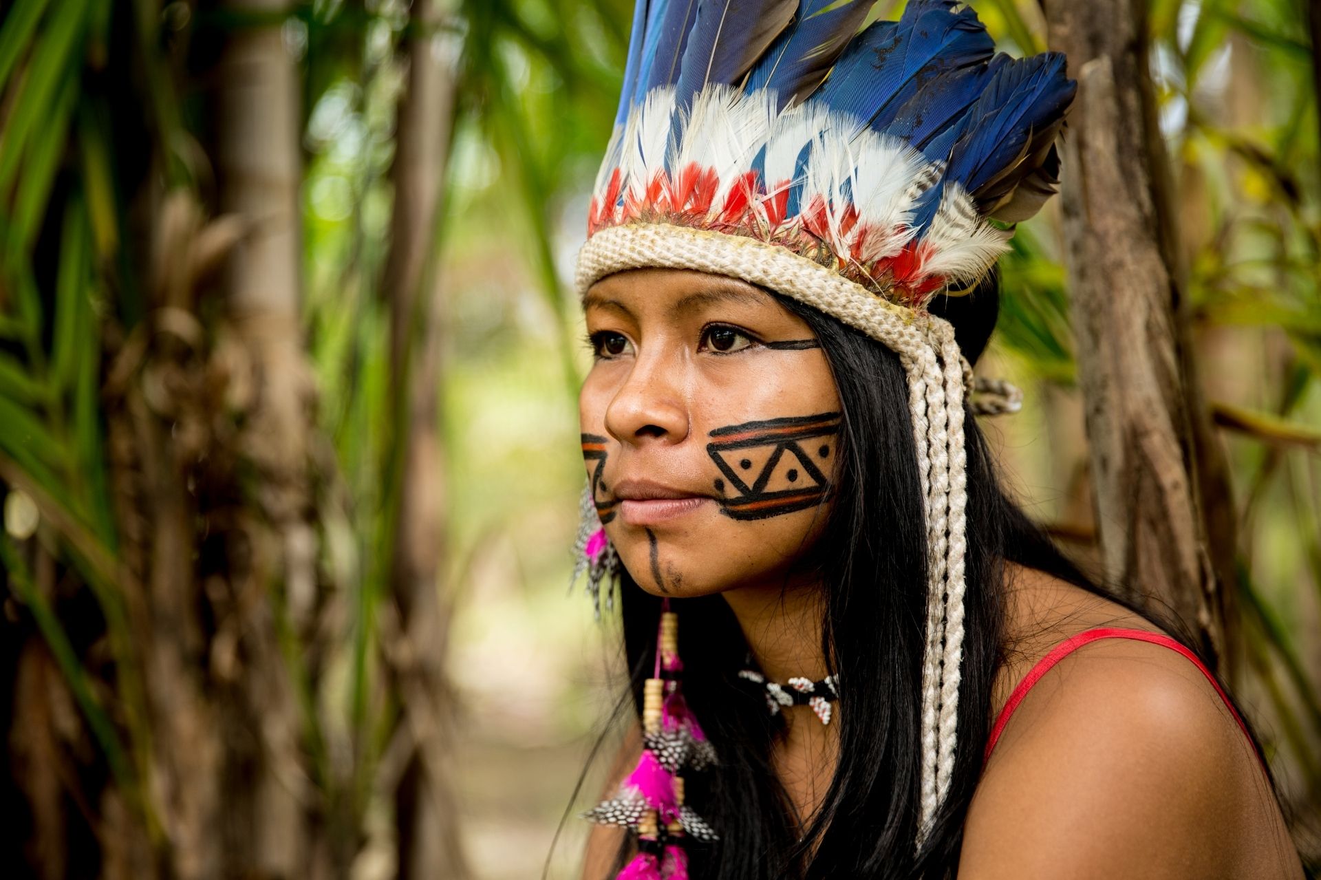 No Dia da Amazônia, saiba como o turismo de base comunitária vem